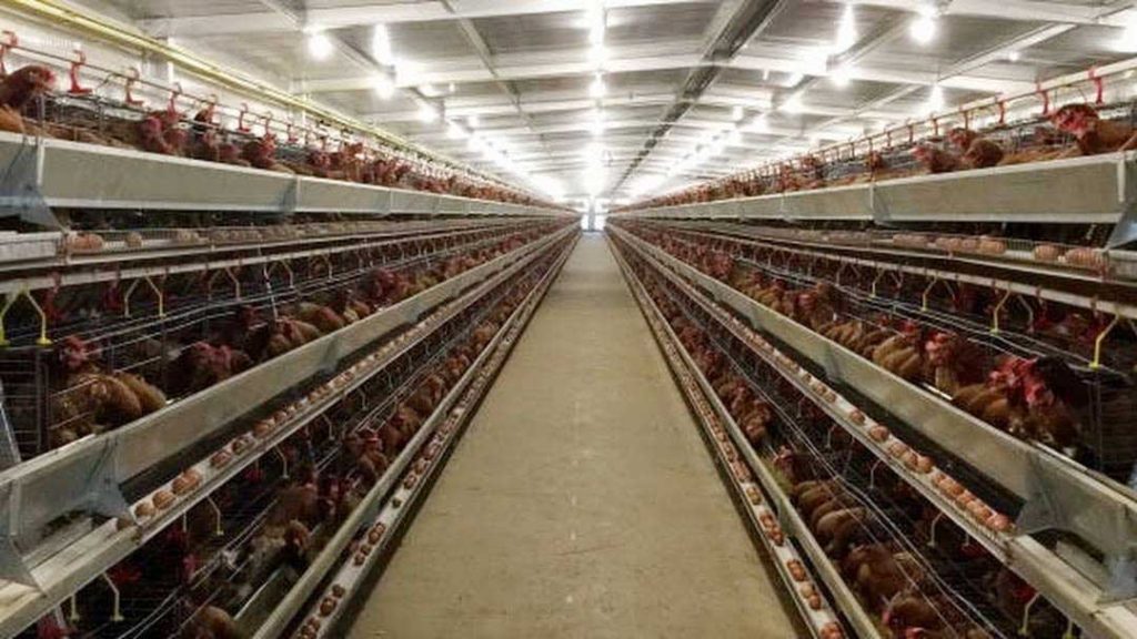 Construction Projects - Afripex Piping Systems - Pex A pipe, fittings and expansion. Pure PEX Pipe.